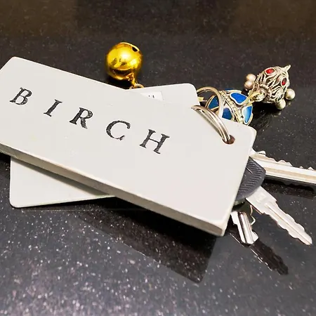 Birch@inchicore Lejlighed Dublin